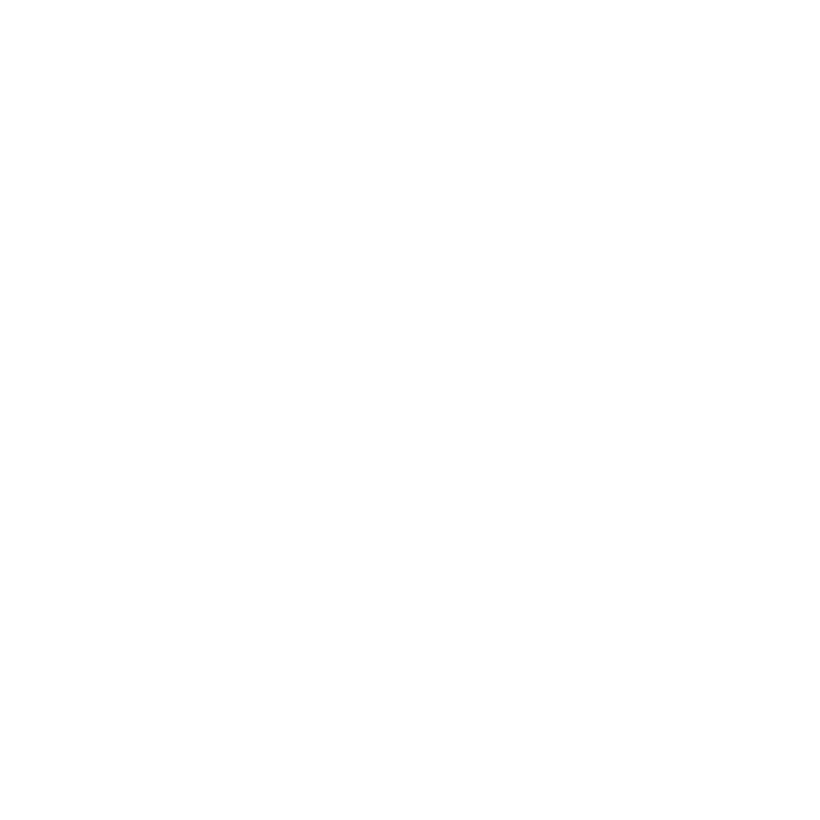 BBSFC Logo White